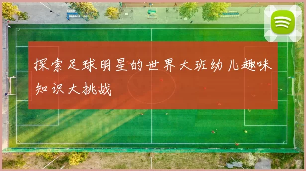 探索足球明星的世界大班幼儿趣味知识大挑战