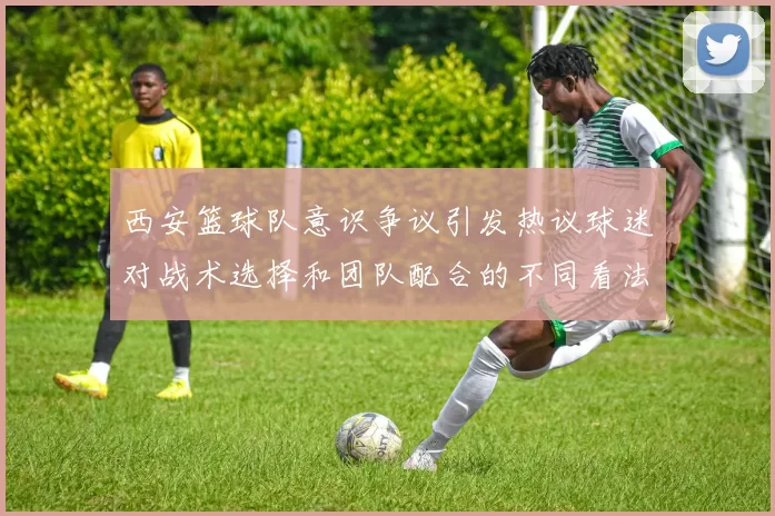 西安篮球队意识争议引发热议球迷对战术选择和团队配合的不同看法