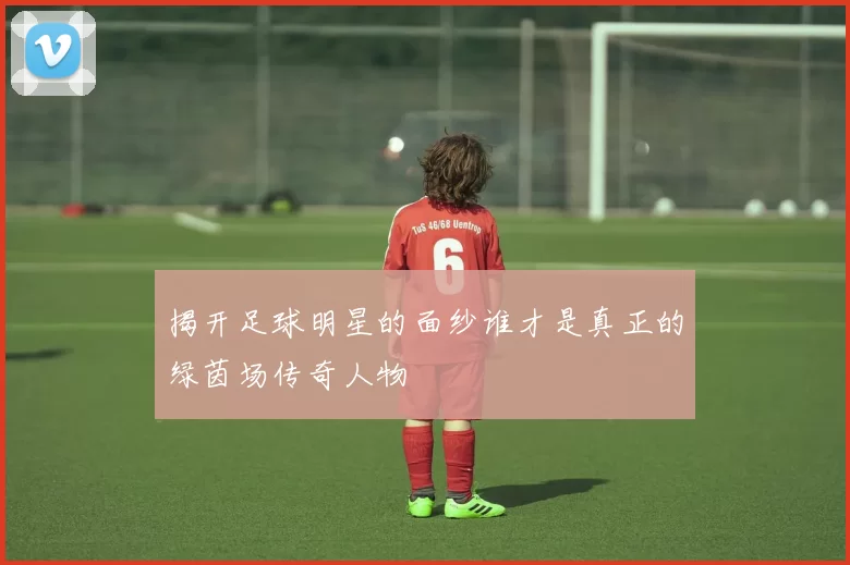 揭开足球明星的面纱谁才是真正的绿茵场传奇人物