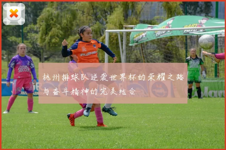 杭州排球队逆袭世界杯的荣耀之路与奋斗精神的完美结合