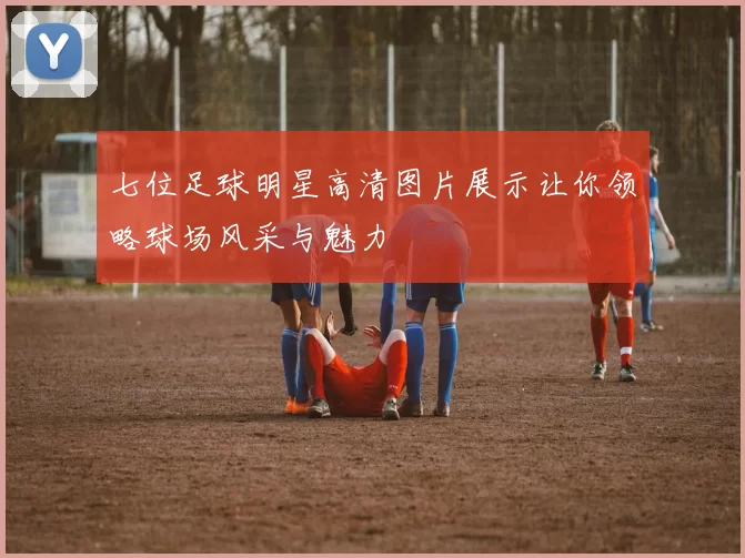 七位足球明星高清图片展示让你领略球场风采与魅力