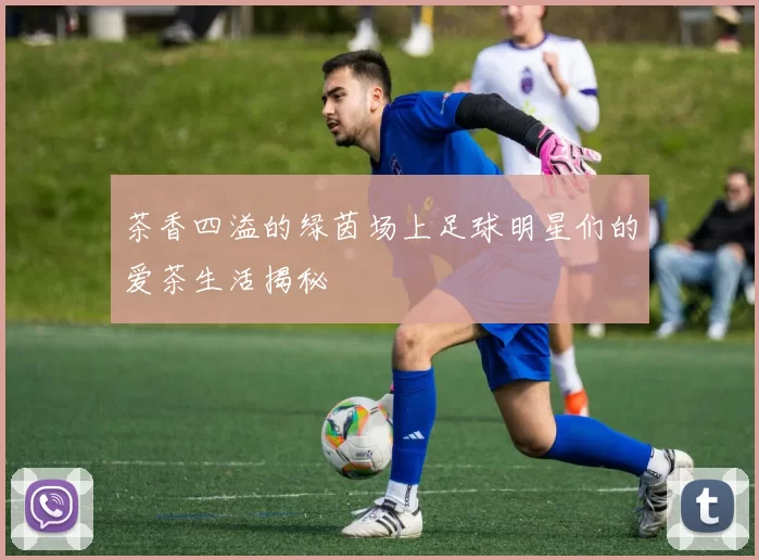 茶香四溢的绿茵场上足球明星们的爱茶生活揭秘
