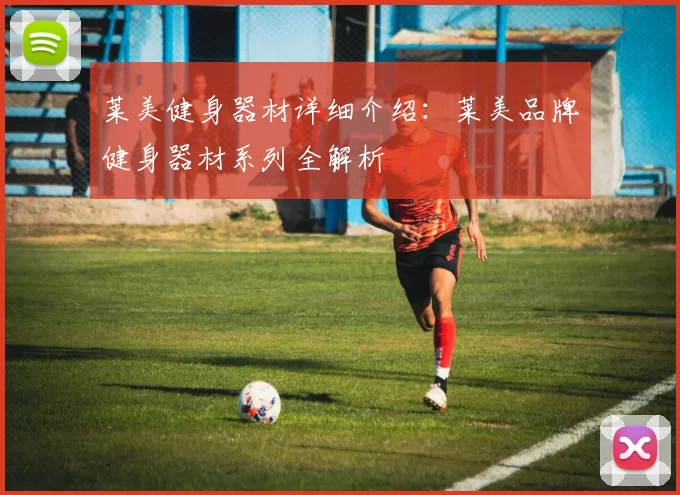 莱美健身器材详细介绍：莱美品牌健身器材系列全解析