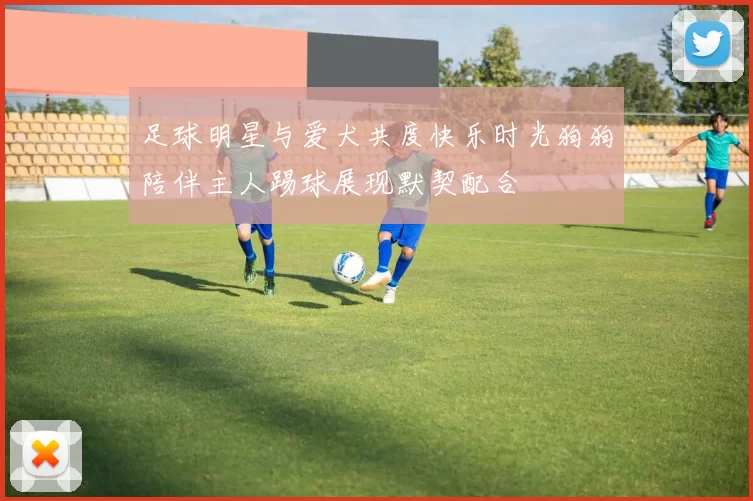 足球明星与爱犬共度快乐时光狗狗陪伴主人踢球展现默契配合